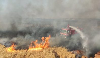 Gaziantep’te binlerce dönüm buğday tarlası küle döndü